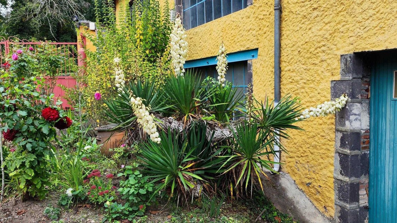 Photo of Outdoor in Maringues