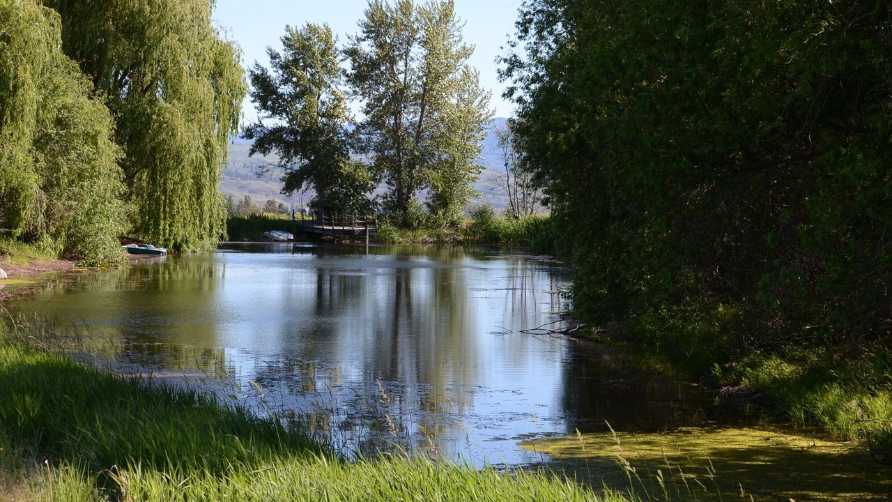 Photo of Outdoor in Twisp