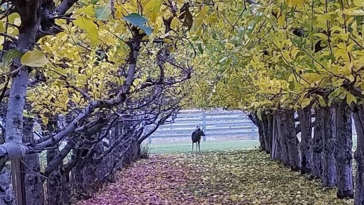 Photo of Outdoor in Twisp