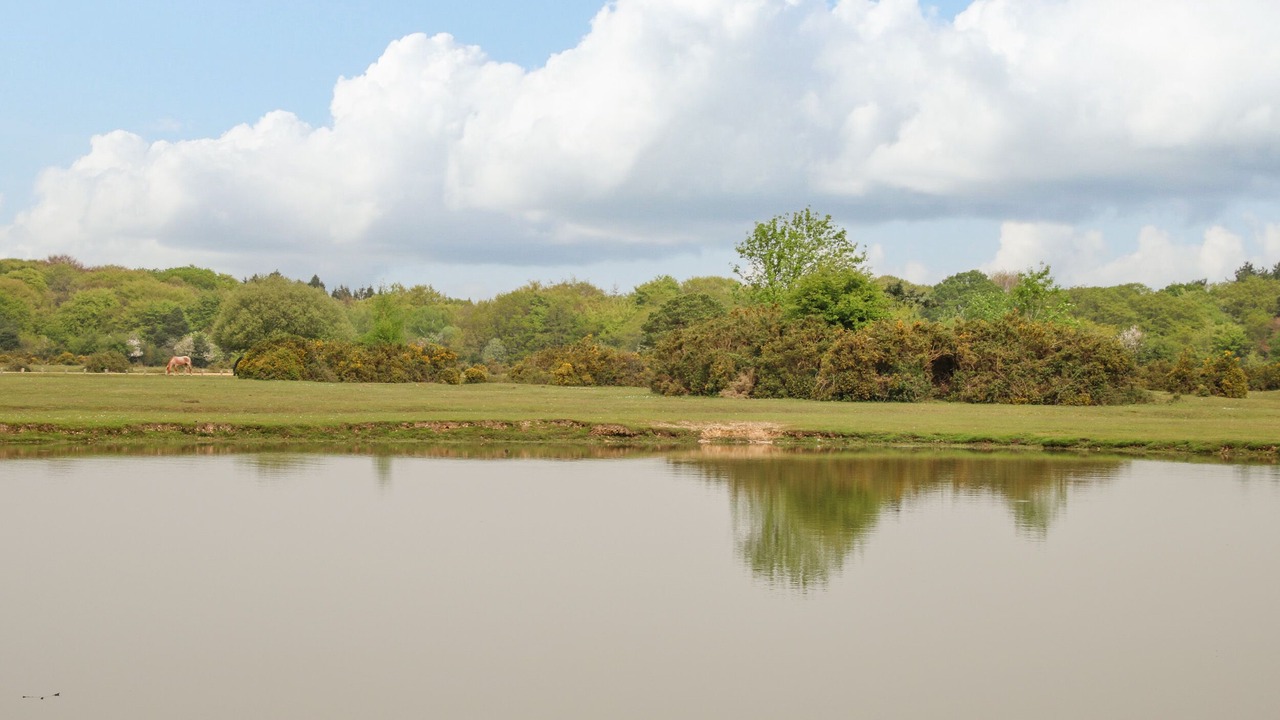 Photo of Others in Milford on Sea