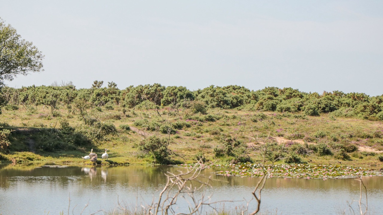 Photo of Outdoor in Milford on Sea