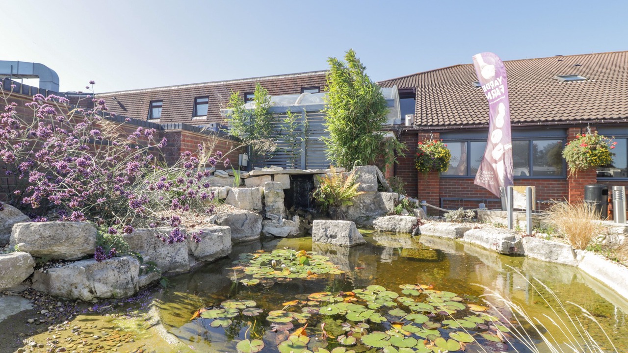 Photo of Outdoor in Milford on Sea