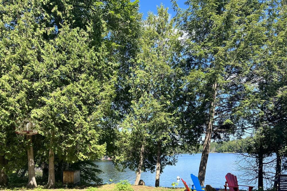 Photo of Outdoor in Strong