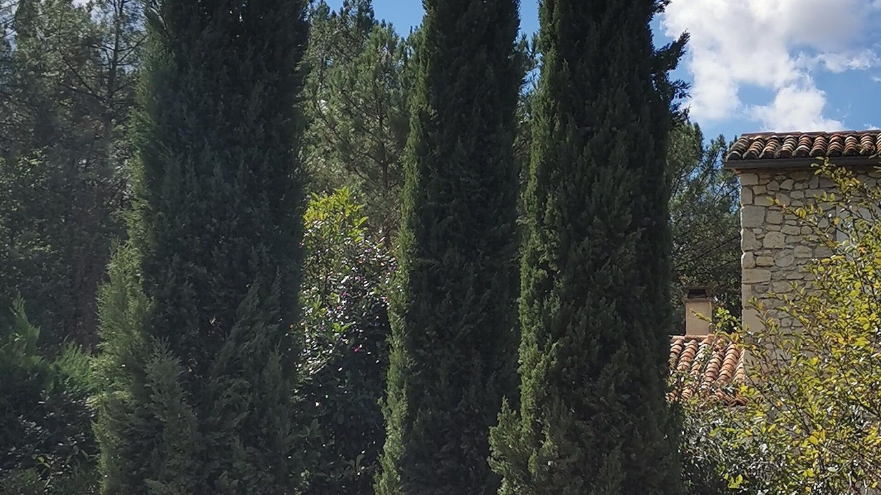 Photo of Outdoor in Fumel