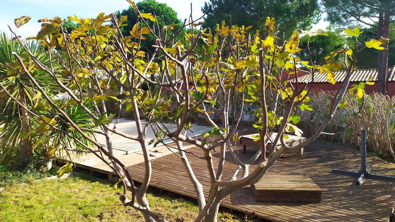 Photo of Outdoor in Magalas