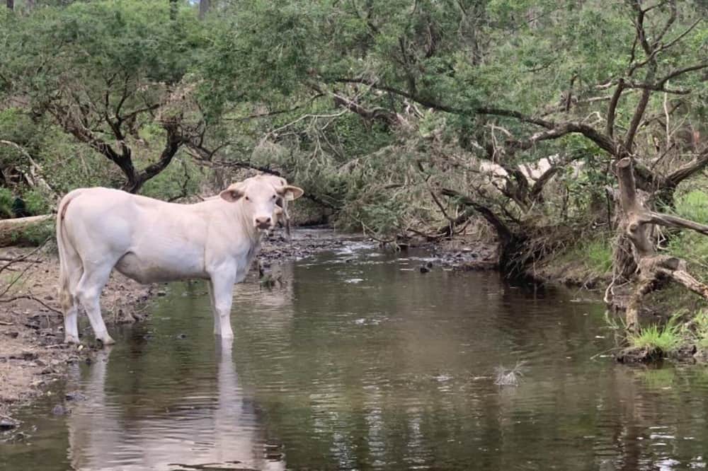 Photo of Others in Bundook