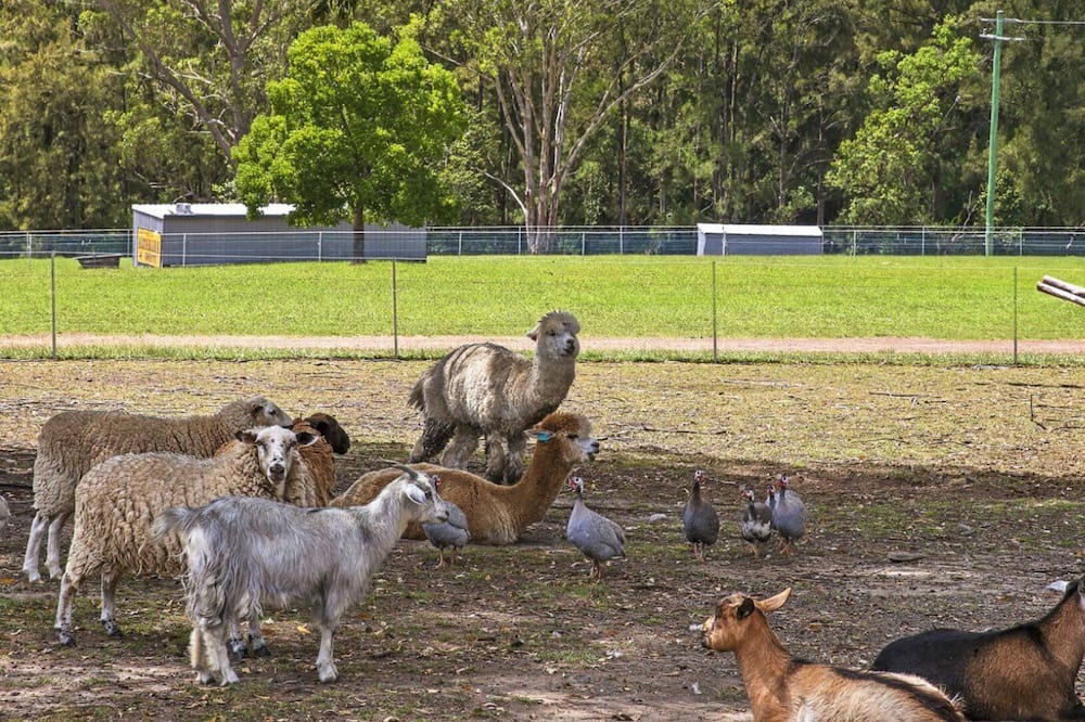 Photo of Others in Bundook