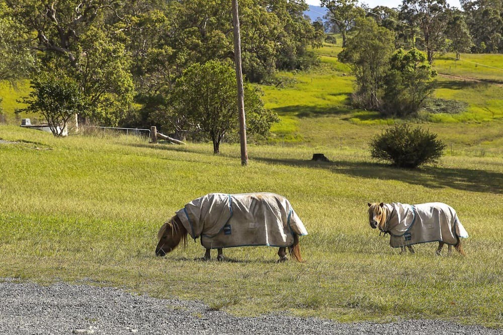 Photo of Others in Bundook