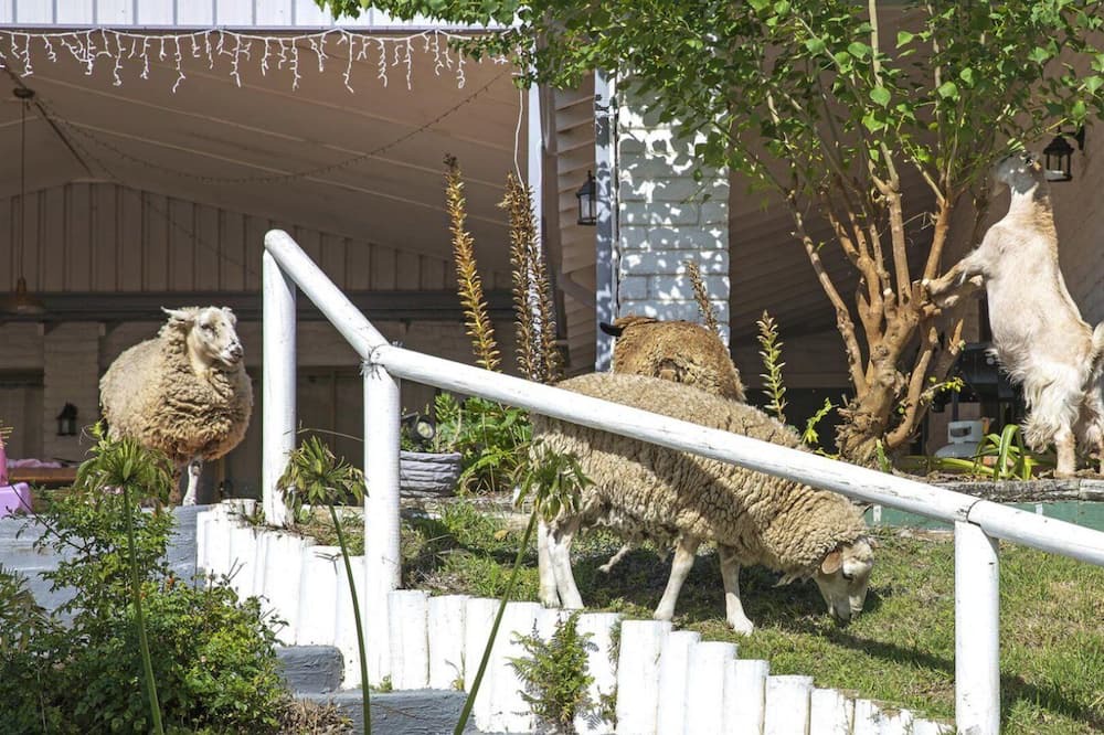 Photo of Outdoor in Bundook