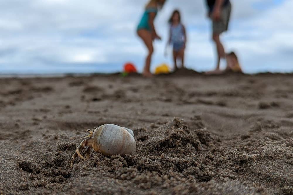 Photo of Others in Grand Barachois