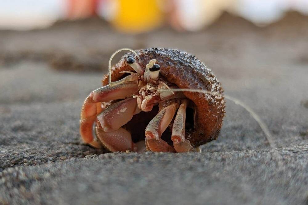 Photo of Others in Grand Barachois