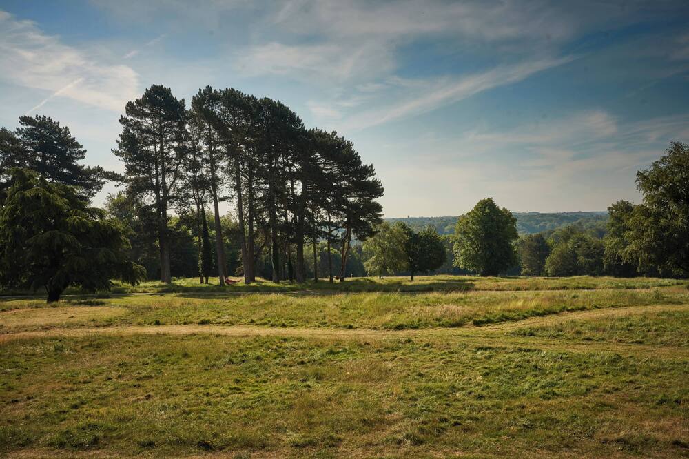 Photo of Others in Selsdon and Ballards