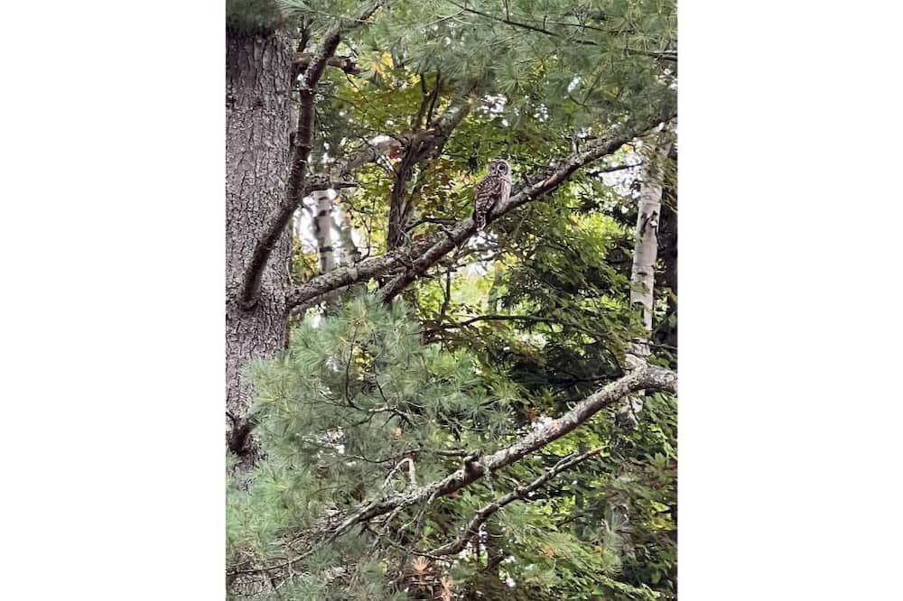 Photo of Outdoor in North Pole