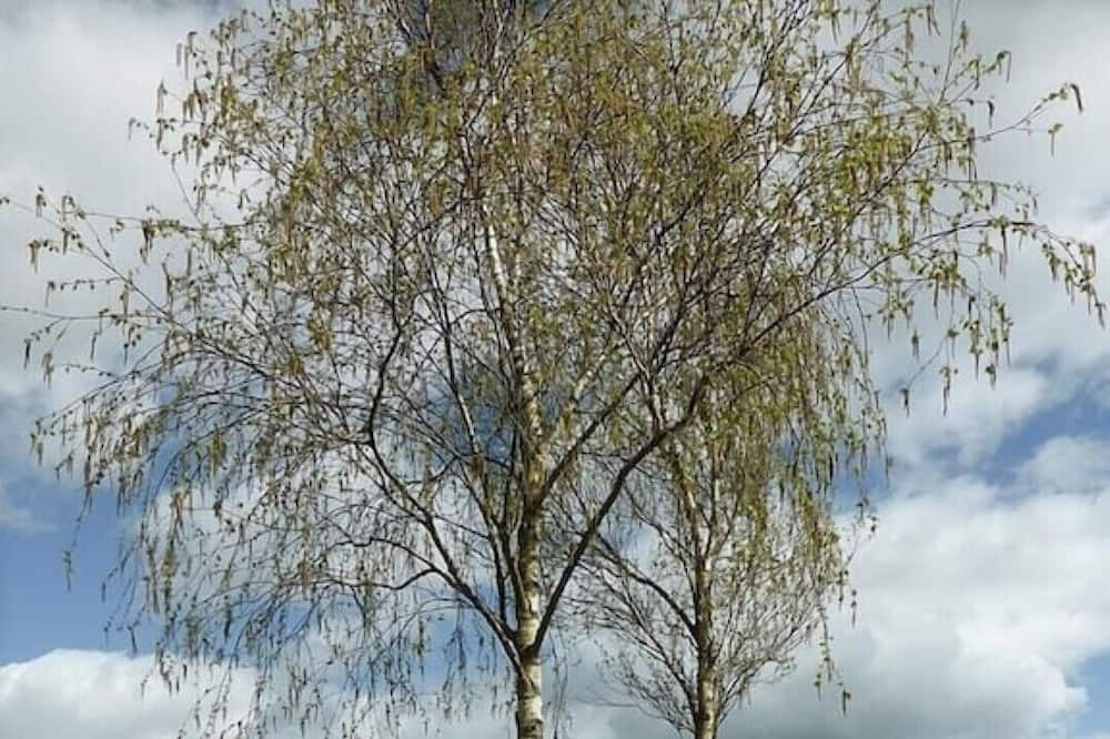 Photo of Outdoor in Fontaine-en-Bray