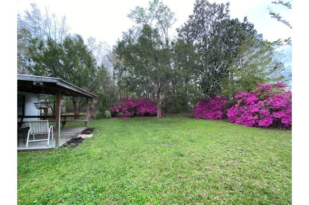 Photo of Outdoor in Milton