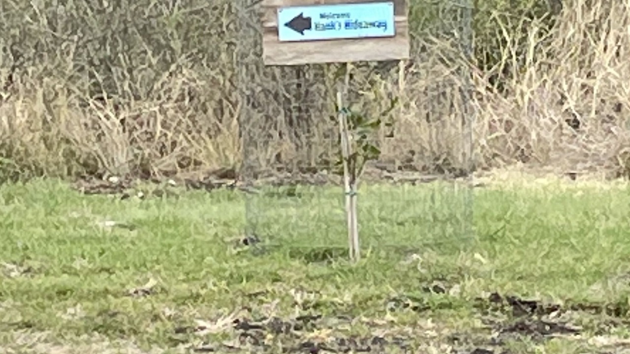 Photo of Outdoor in Uvalde