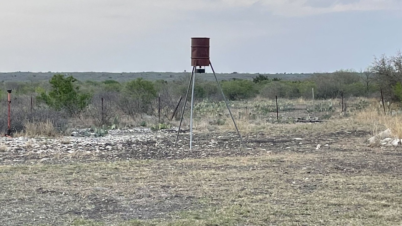 Photo of Others in Uvalde