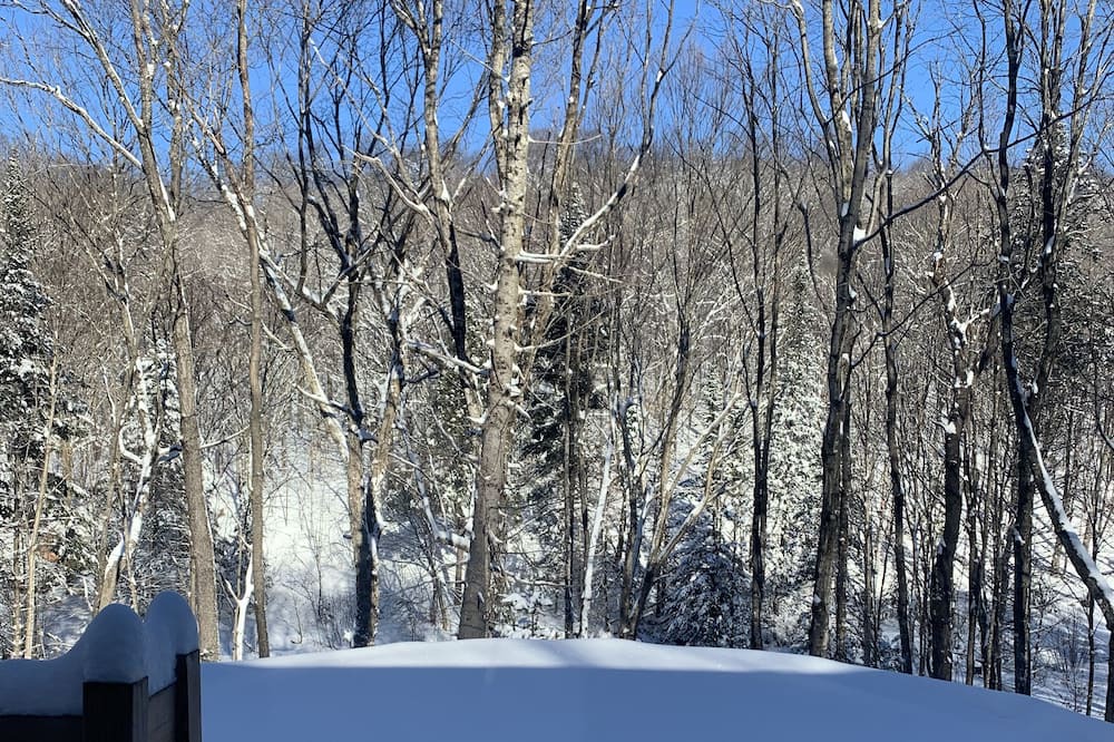Photo of Outdoor in Pine Hill