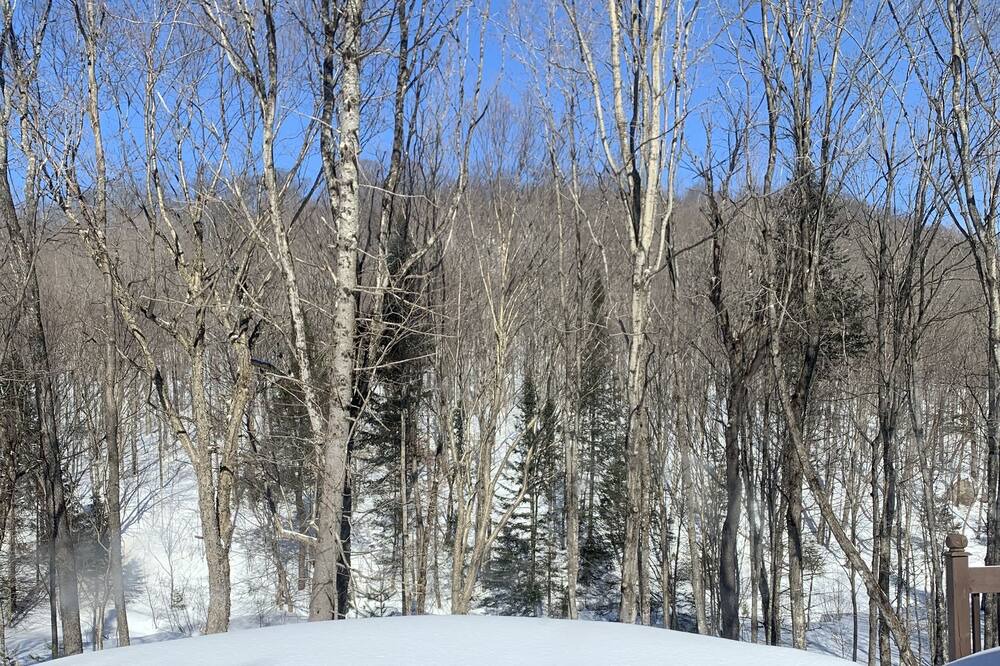 Photo of Outdoor in Pine Hill