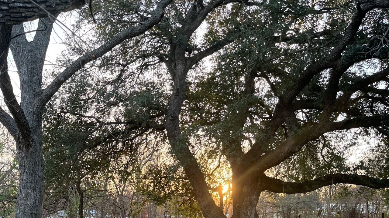 Photo of Outdoor in Central Southwest
