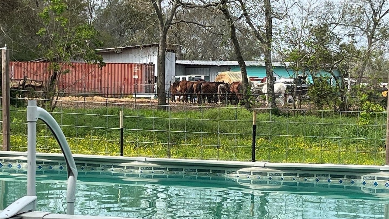 Photo of Outdoor in Central Southwest