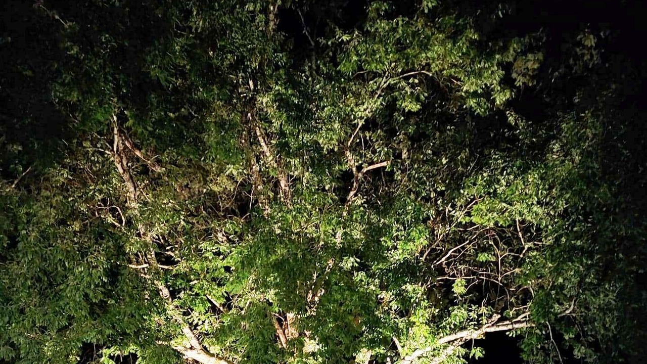 Photo of Others in Fougaron