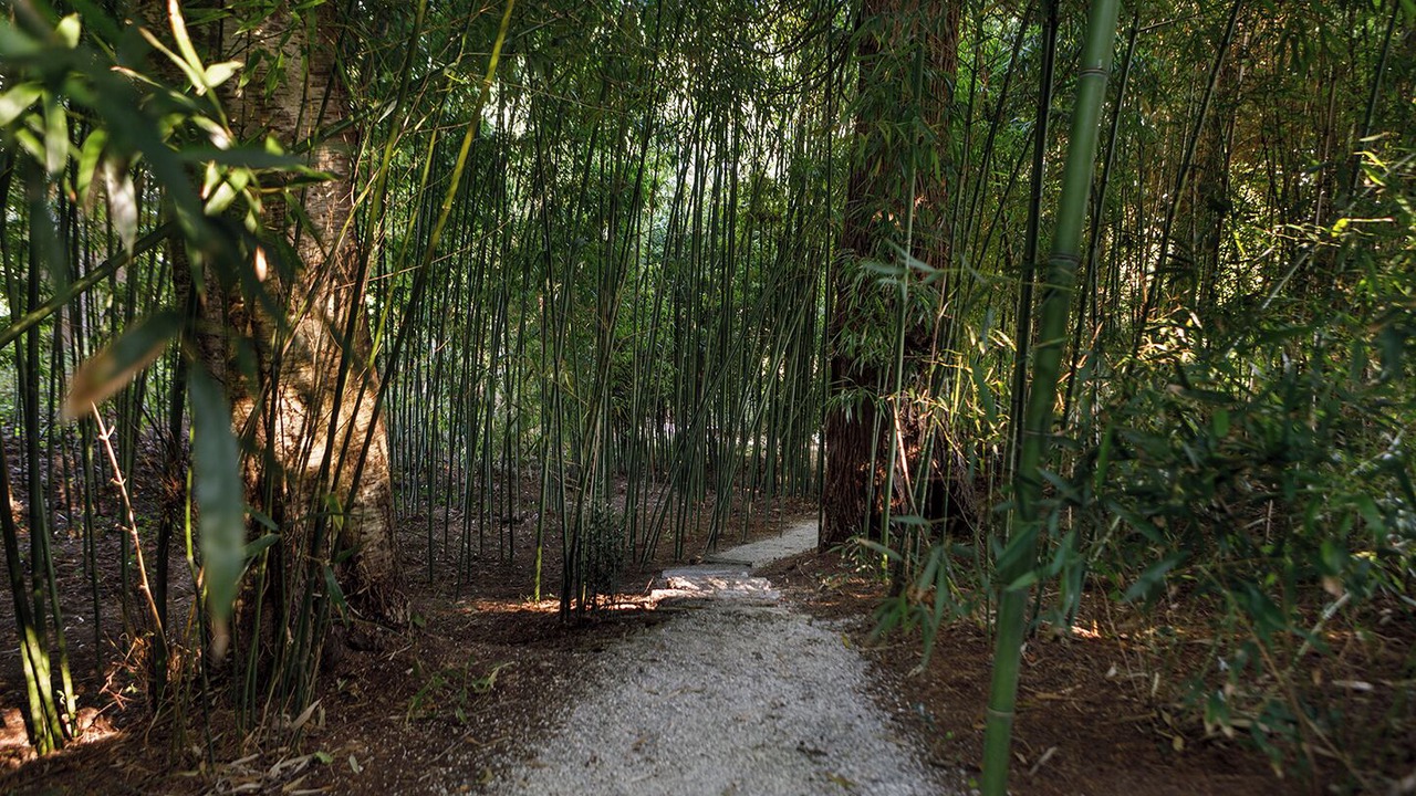 Photo of Outdoor in Luzmela