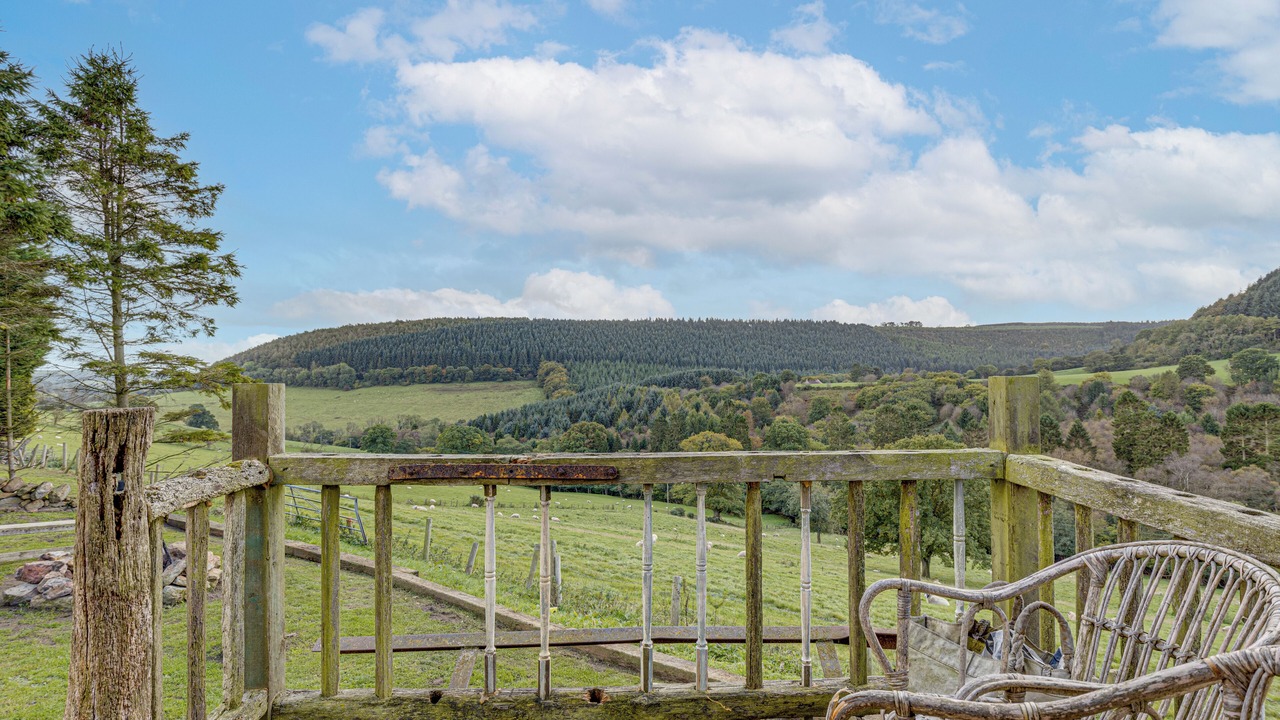 Photo of Others in Scarborough