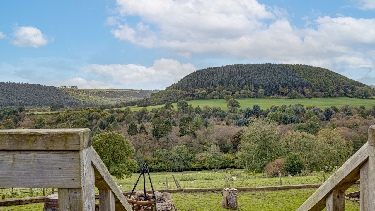 Photo of Others in Scarborough