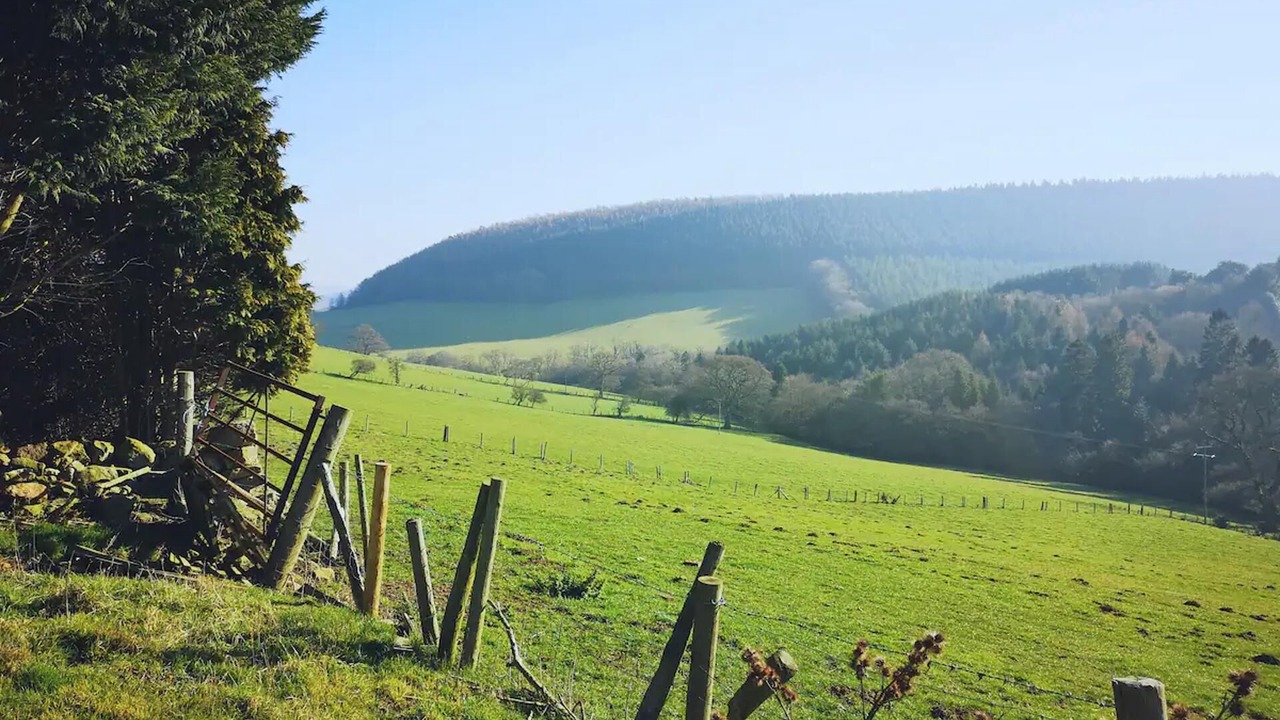 Photo of Others in Scarborough