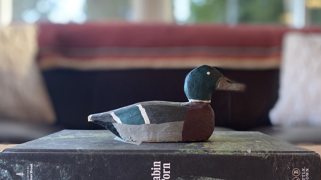 Photo of Others in Salem