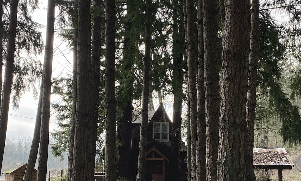 Photo of Others in Salem