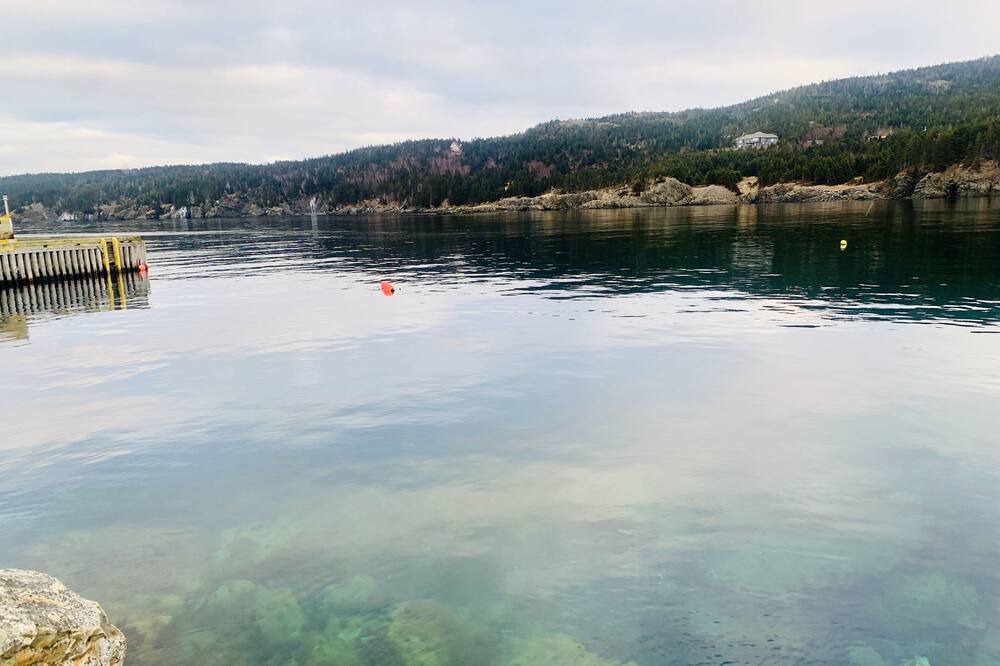 Photo of Others in Harbour Main
