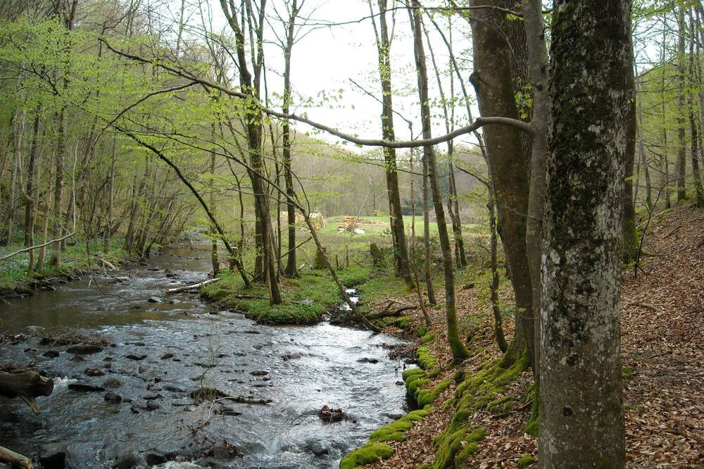 Photo of Outdoor in Chatelus