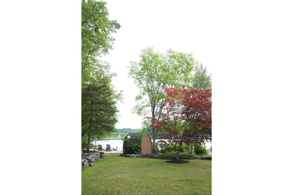 Photo of Outdoor in Walton Park