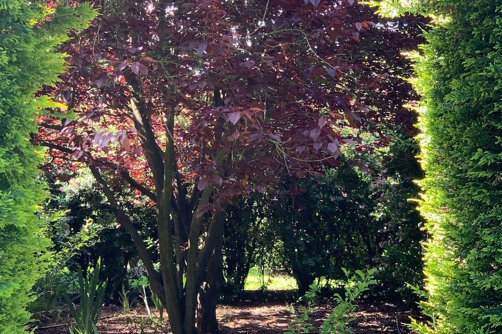 Photo of Others in Yambuk