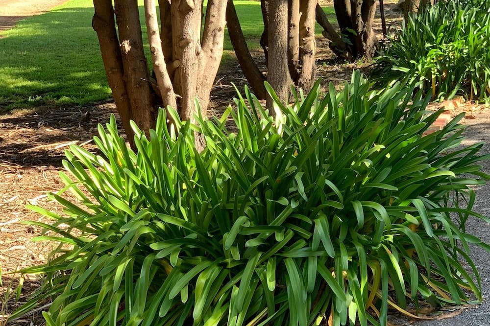 Photo of Outdoor in Yambuk