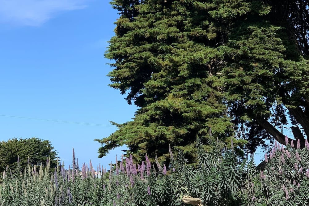 Photo of Others in Yambuk