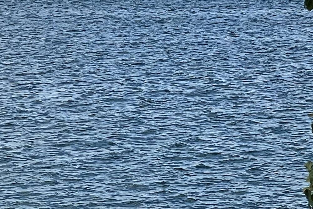 Photo of Others in Winona