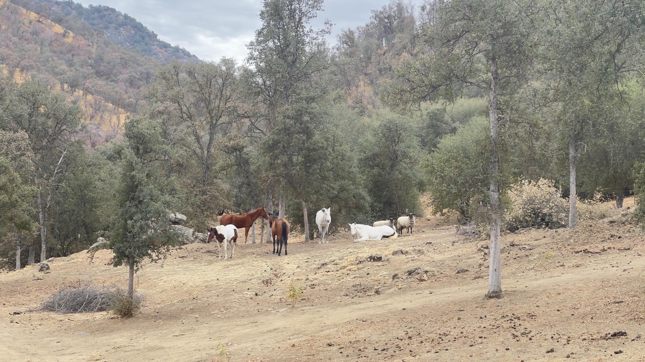 Photo of Others in Squaw Valley