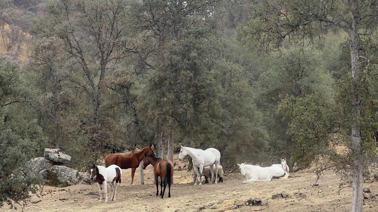 Photo of Others in Squaw Valley