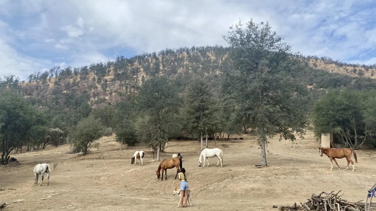 Photo of Others in Squaw Valley