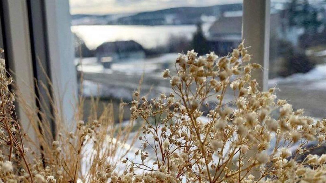 Photo of Others in Saint-Juste-du-Lac