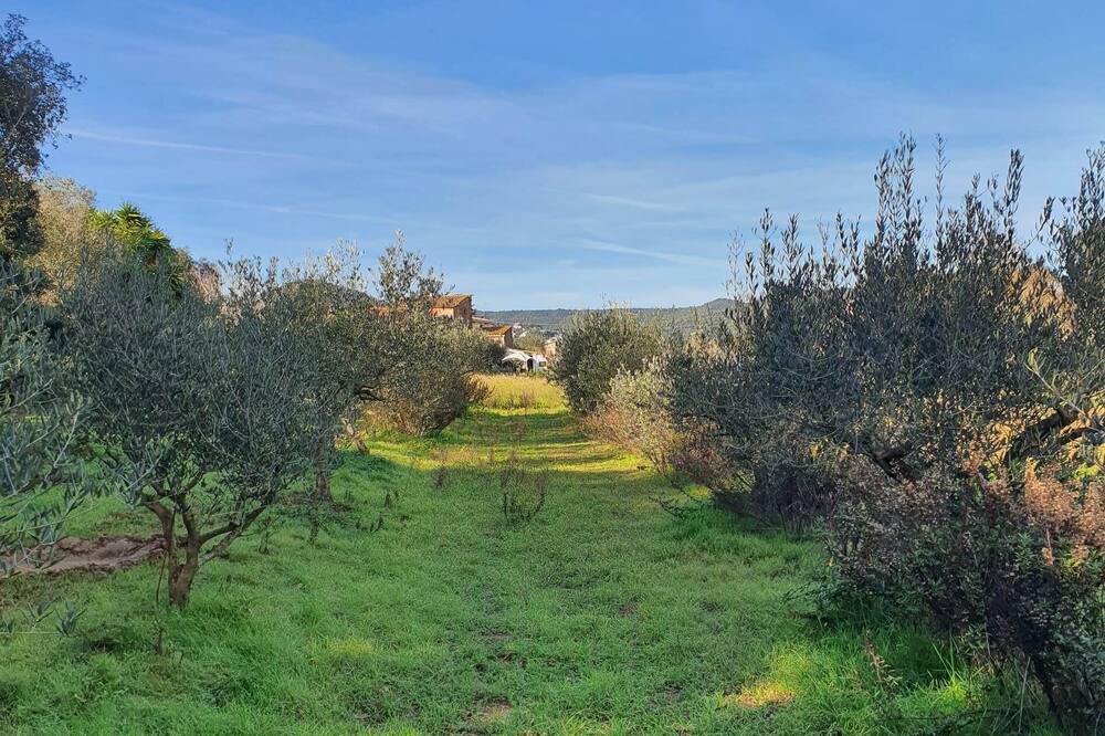 Photo of Outdoor in El Figuerar