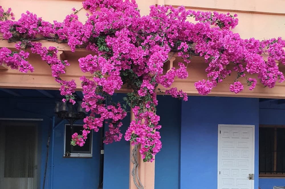 Photo of Outdoor in El Figuerar