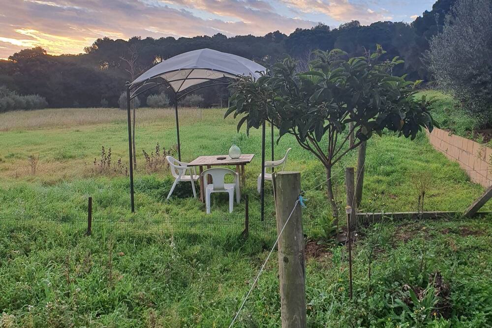 Photo of Outdoor in El Figuerar