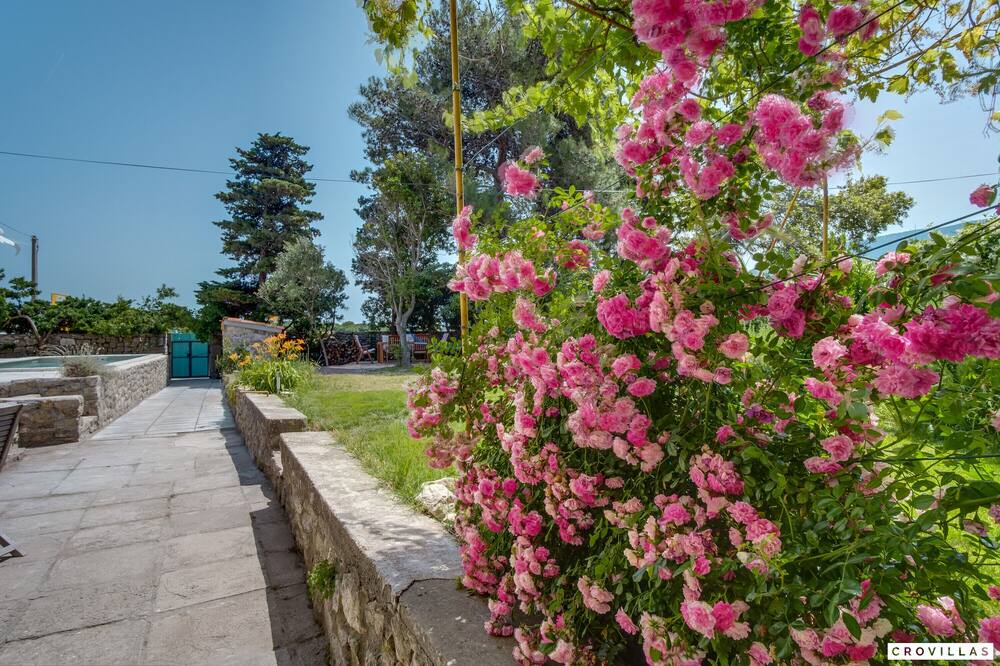 Photo of Others in Mali Losinj
