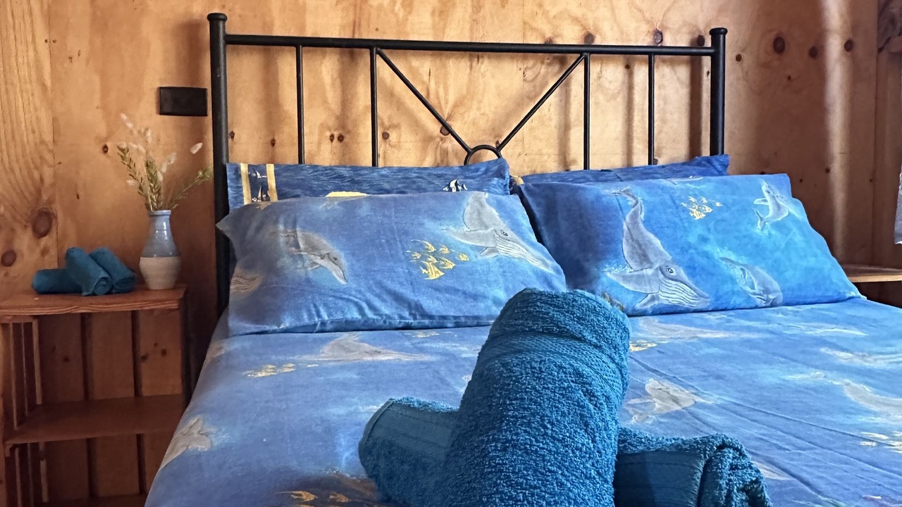 Photo of Others in Antechamber Bay