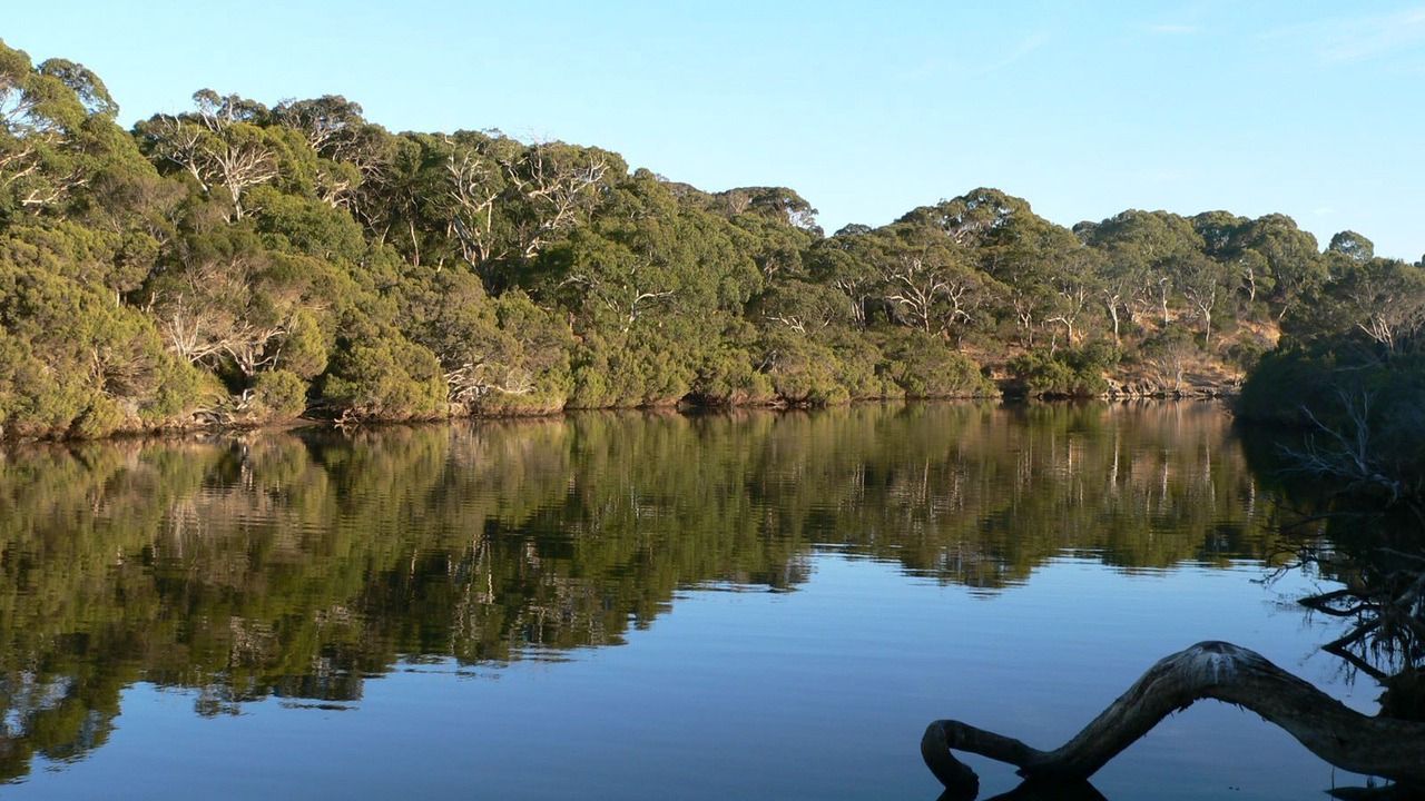 Photo of Outdoor in Antechamber Bay