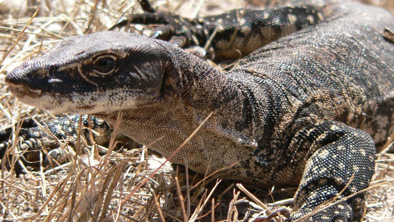 Photo of Others in Antechamber Bay